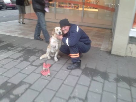 Pas i radnik gradske čistoće petface