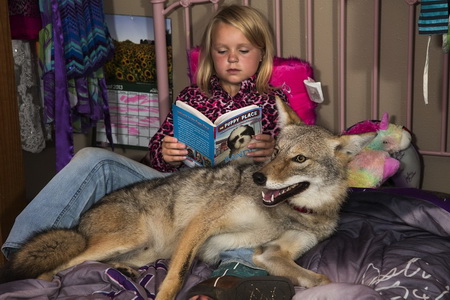 devojčici najbolji prijatelj kojot petface