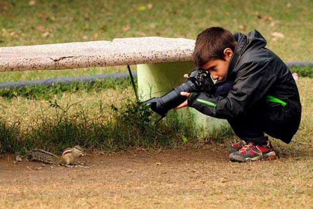 decak fotograf prirode