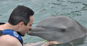 razgovor sa delfinom