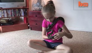 Upoznajte najhrabriju devojčicu na svetu: Krista je luda za anakondama, živi sa 30 zmija i aligatorom!