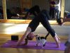 joga i napuštene mace petface