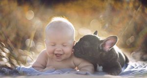 beba i pas petface