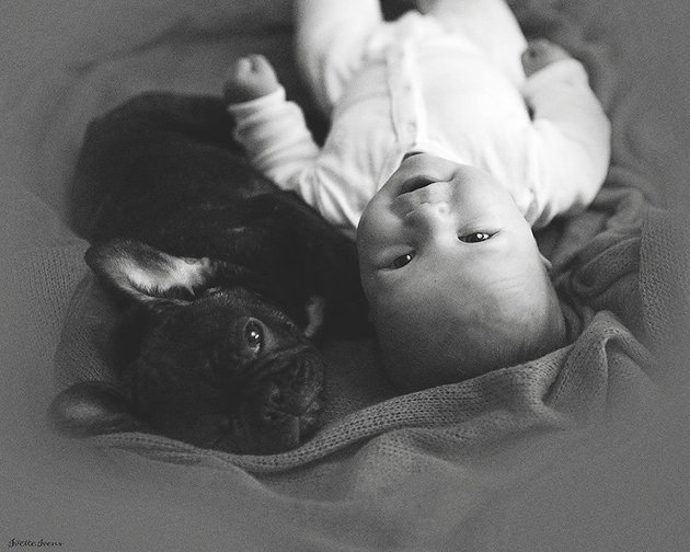 beba i pas petface