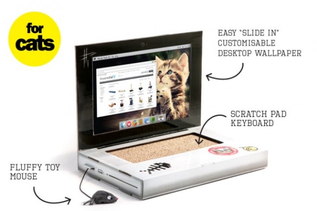laptop za mačke petface