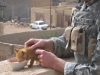 mačke i vojnici petface