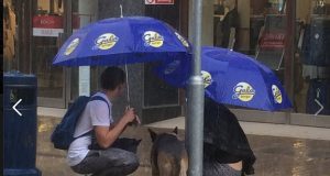 zaštitio psa od kiše petface