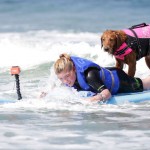 pas koji surfuje petface