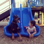 devojčica i pas petface