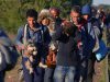 Migranti iz Sirije sa psom petface