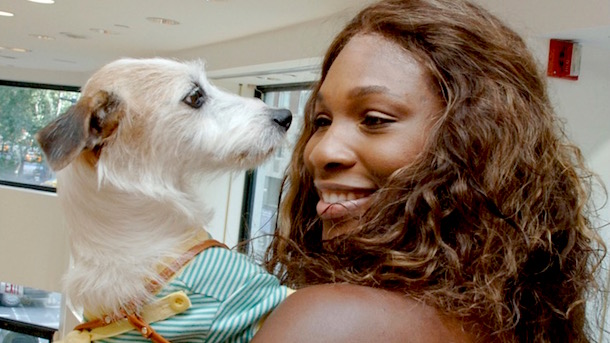 Serena Vilijams se oprostila od svoje preminule ljubimice petface