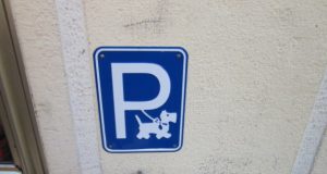 parking za pse petface