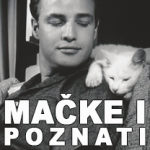 rezervisano za mačke petface rezervisano za mačke petface