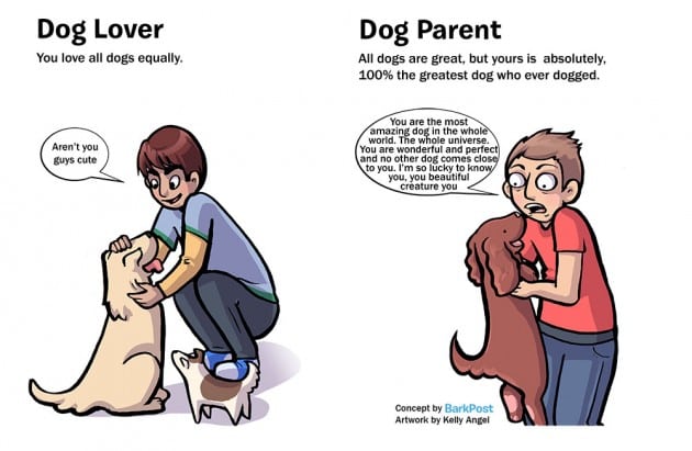 razlika između vlasnika i ljubitelja pasa petface