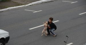 spasio psa petface