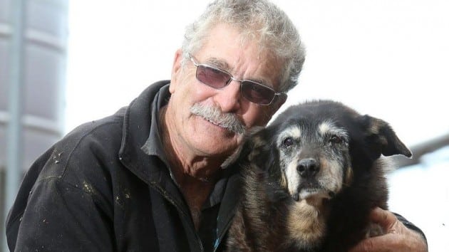 najstariji pas na svetu petface