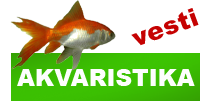 http://petface.net/kategorija/vesti/akvaristika/