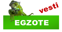 http://petface.net/kategorija/vesti/egzote/