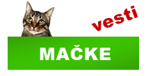 http://petface.net/kategorija/vesti/macke/