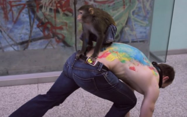 majmunova umetnost petface