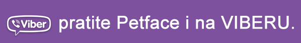 petface viber