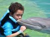 međunarodni dan delfina
