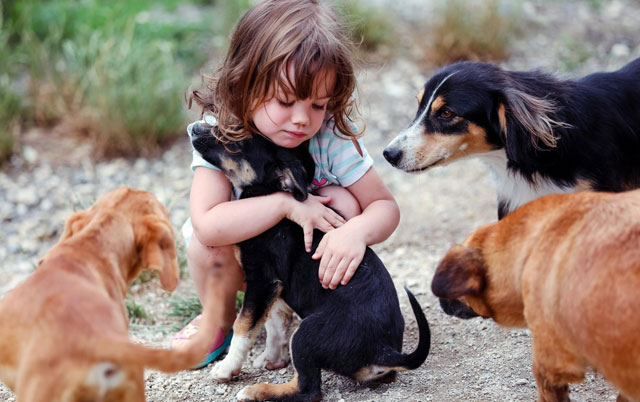 Malena Mila u igri sa spašenim psima