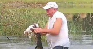 spasao psa iz čeljusti aligatora