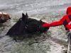 dva konja propala u ledenu vodu