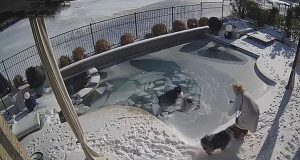 žena spasla psa iz zaleđenog bazena