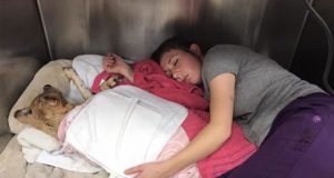 veterinarka spava sa psom