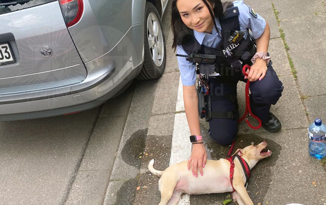 policija spasila psa