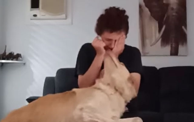 pas pomaže ženi sa autizmom