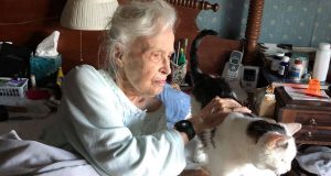 baka i mačak