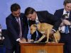 Predsednik Brazila potpisao zakon protiv okrutnosti prema životinjama