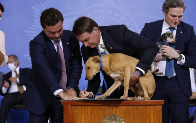 Predsednik Brazila potpisao zakon protiv okrutnosti prema životinjama