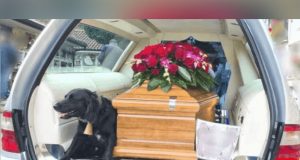 Pas na sahrani svog vlasnika