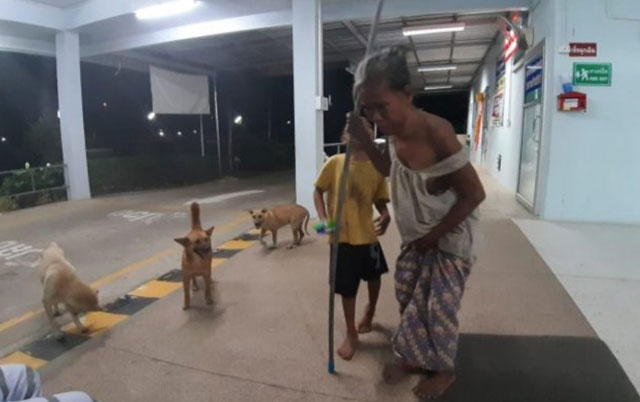 pas čuva slepu beskućnicu
