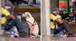 pas zagrlio beskućnika