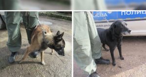 Policija predala pse u azil