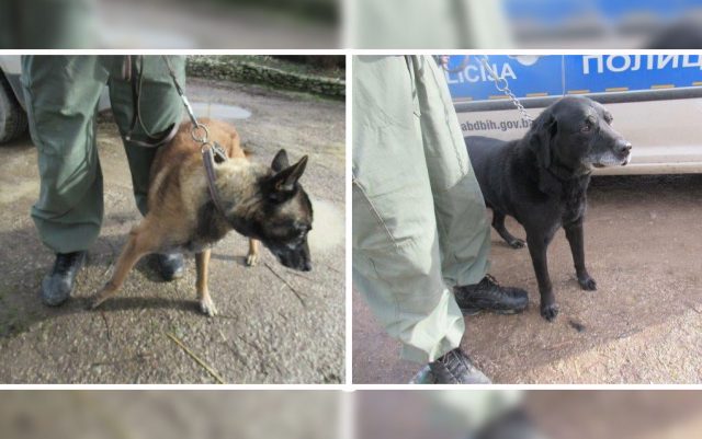 Policija predala pse u azil