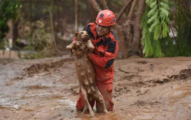 spasavanje psa iz blata