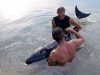 Surferi drže bebu kita na površini vode