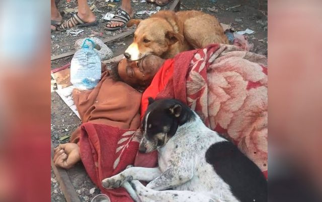 Psi čuvali telo beskućnika