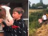 Dečak heroj spasao konja
