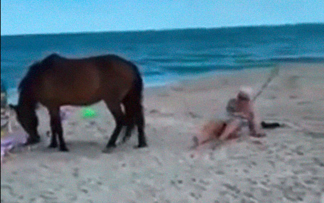 žena udarila ponija