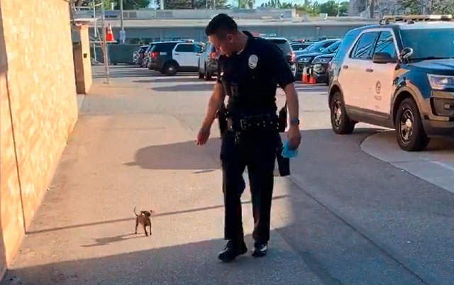 Policajac udomio štene