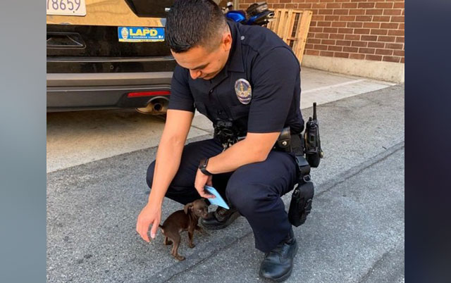 Policajac udomio štene