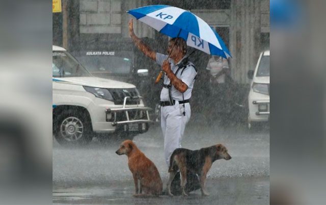 Policajac štiti pse od kiše