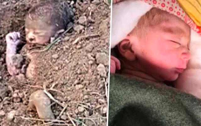 Pas spasao živo zakopano novorođenče